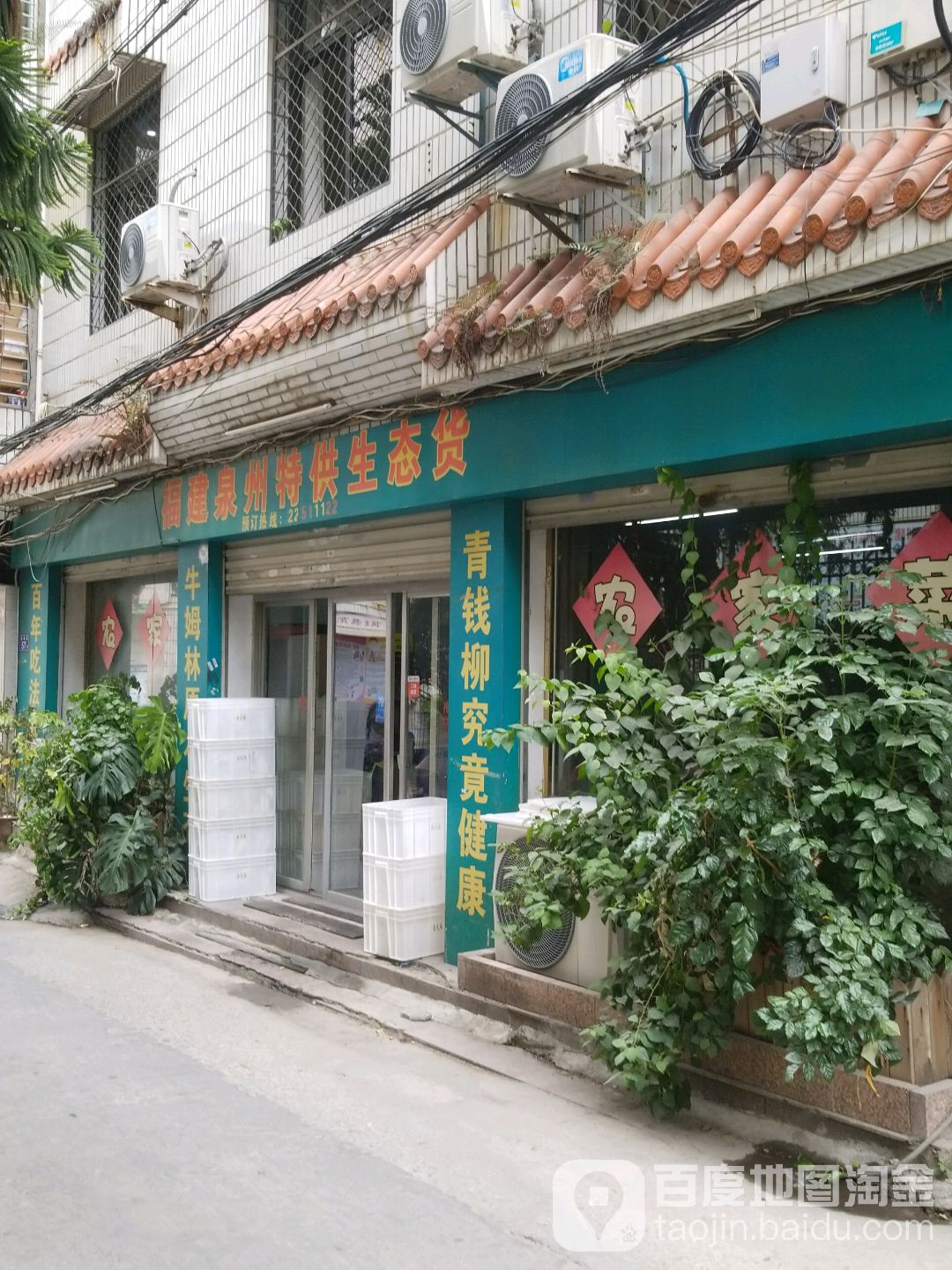 福建泉州特供生态货