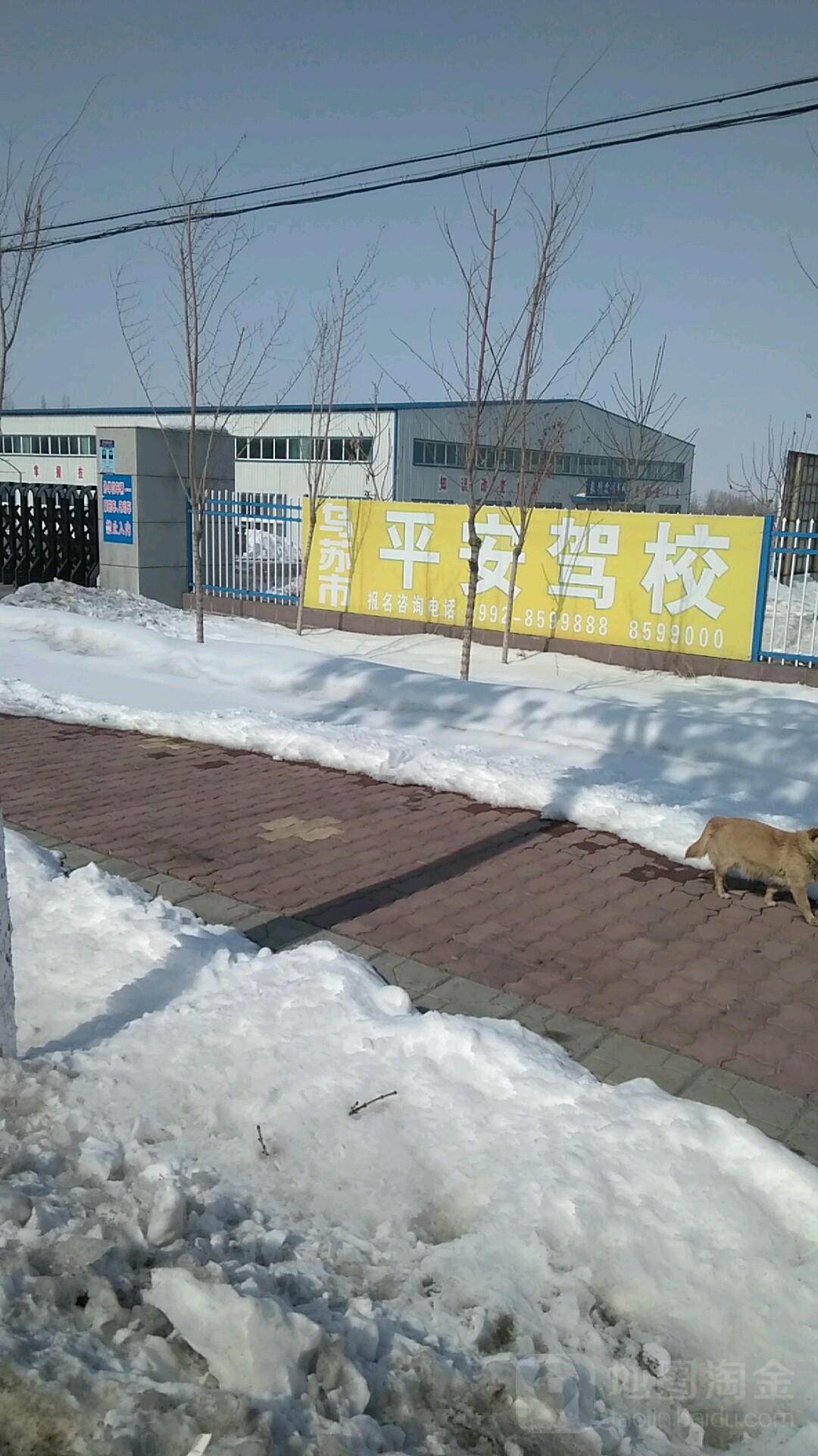 乌苏市平安驾校