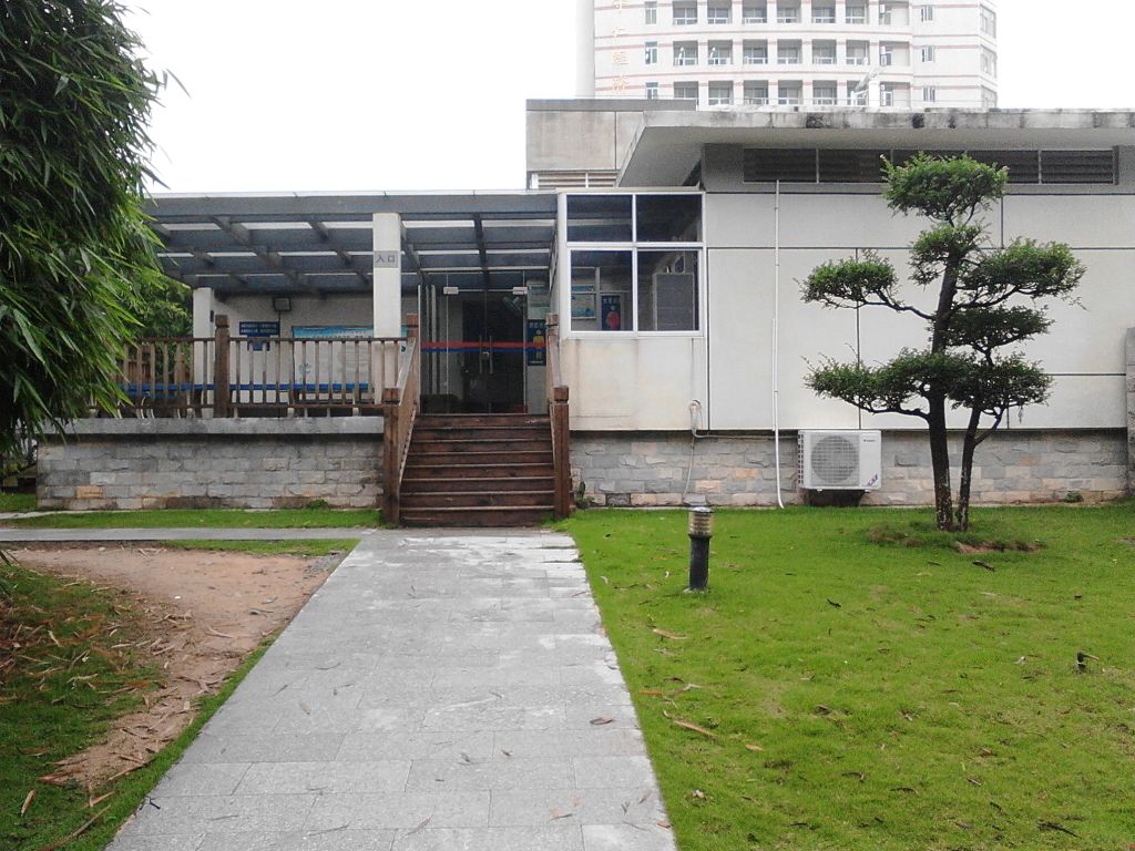 华桥大学-室外游泳池