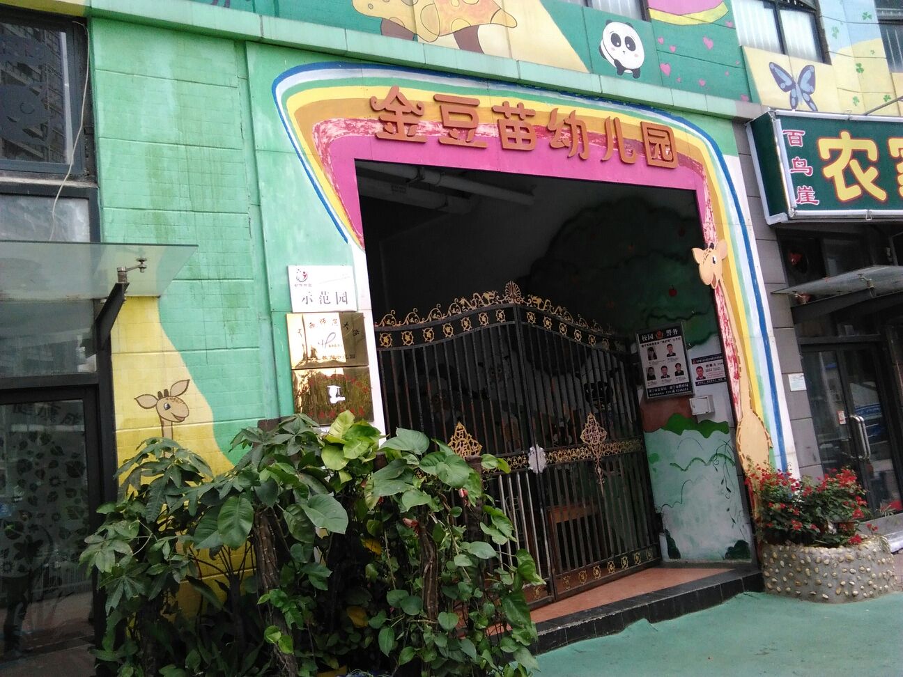 金豆苗艺术幼儿园