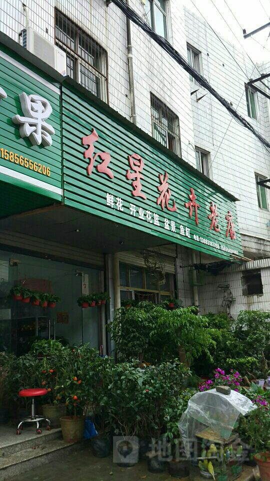 洪星花卉老店
