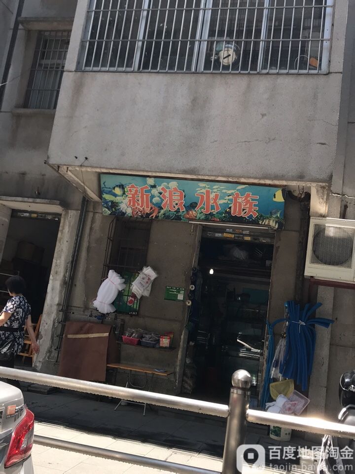 新浪水族