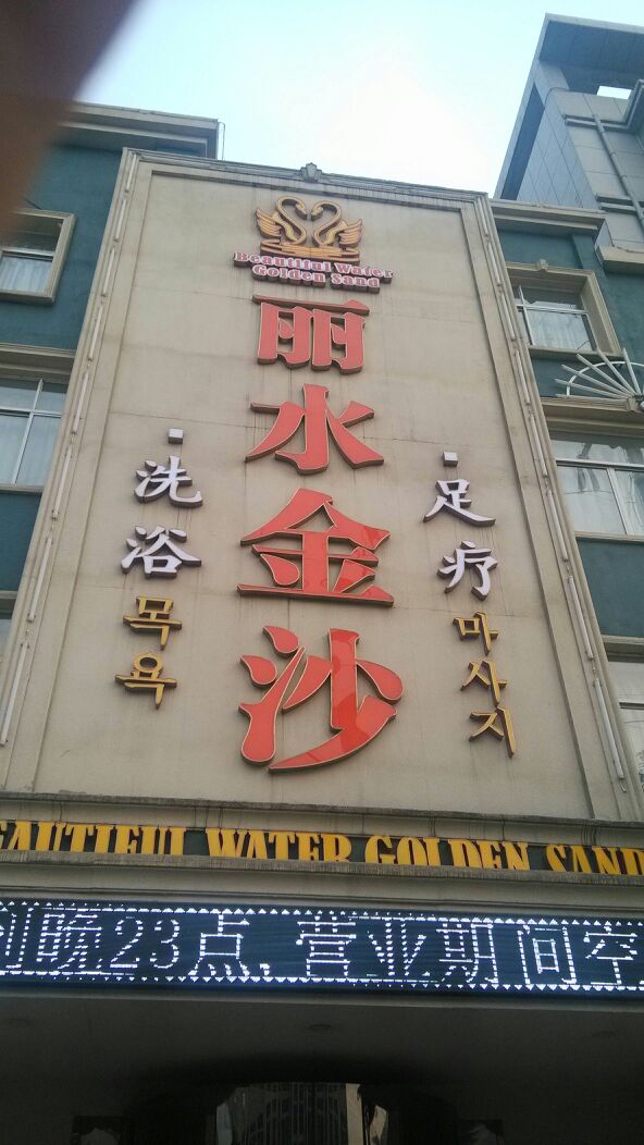 金水丽沙
