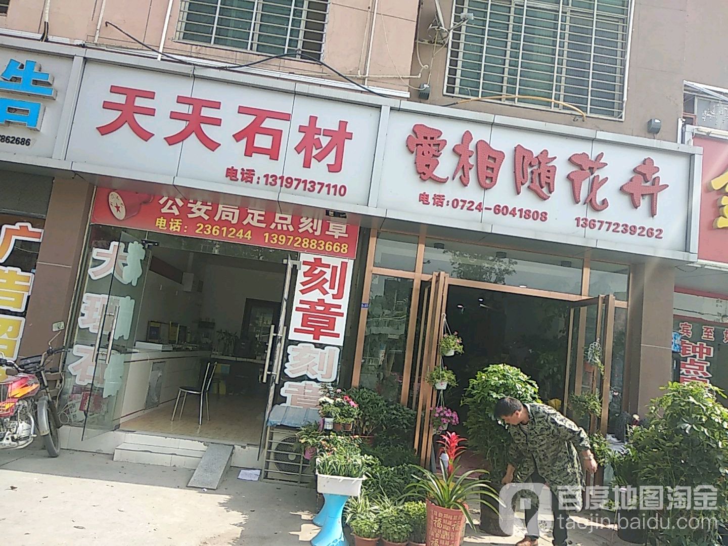 爱相随花卉