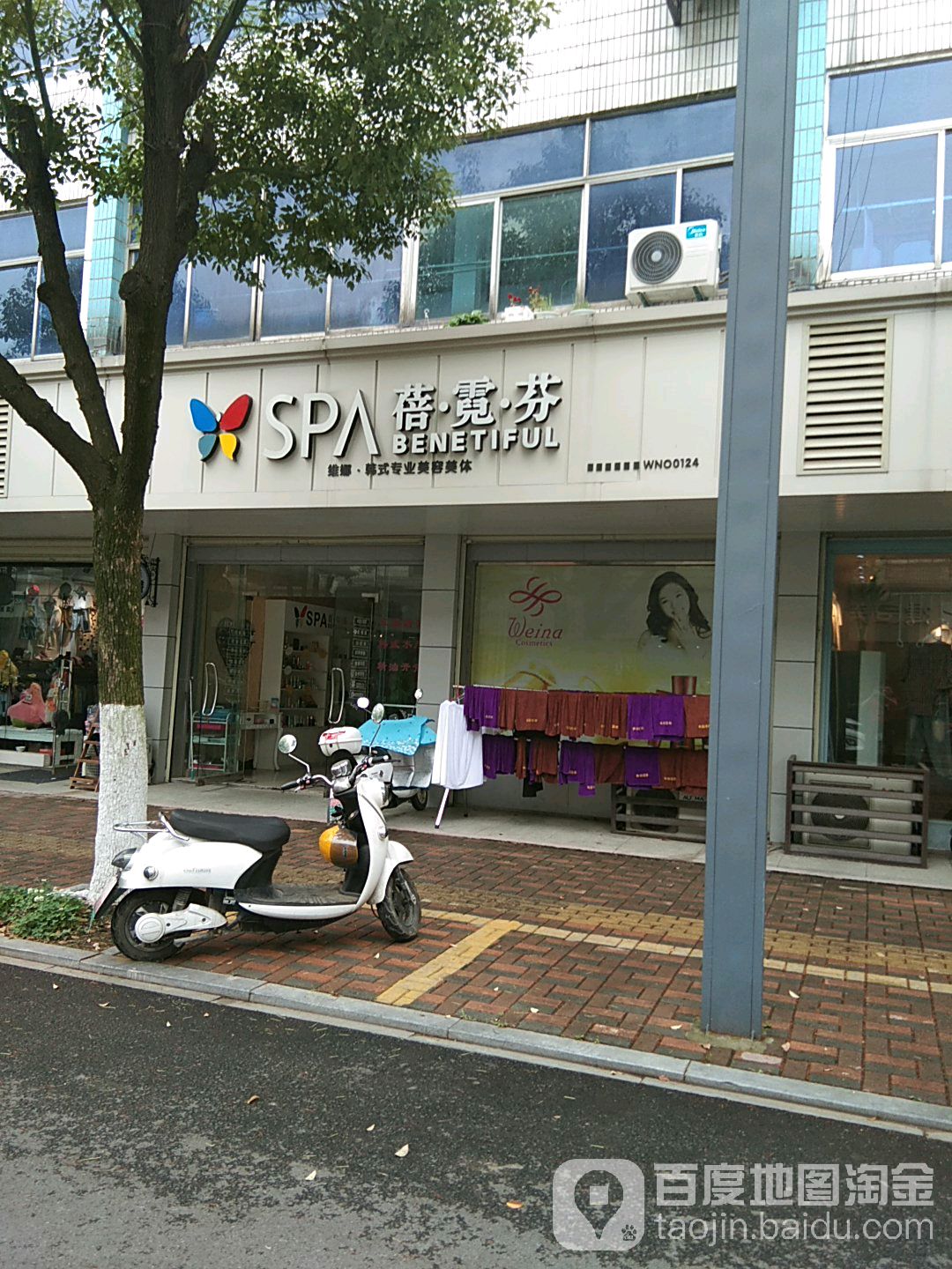 蓓倪芬