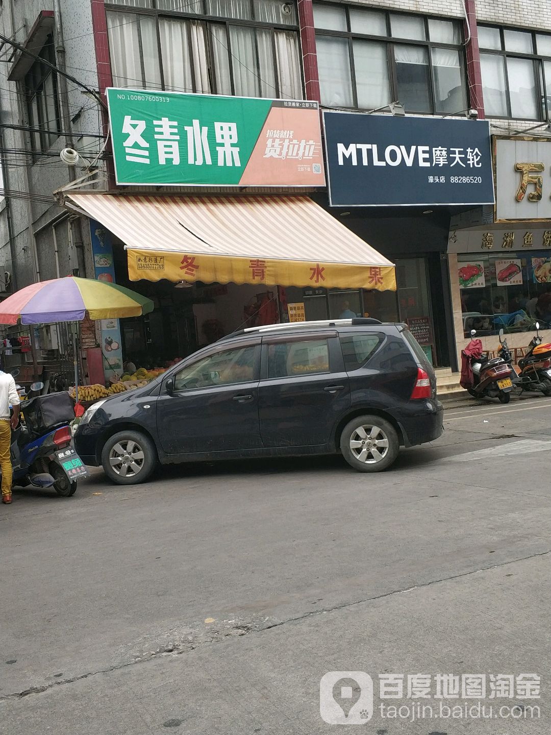 冬青水果