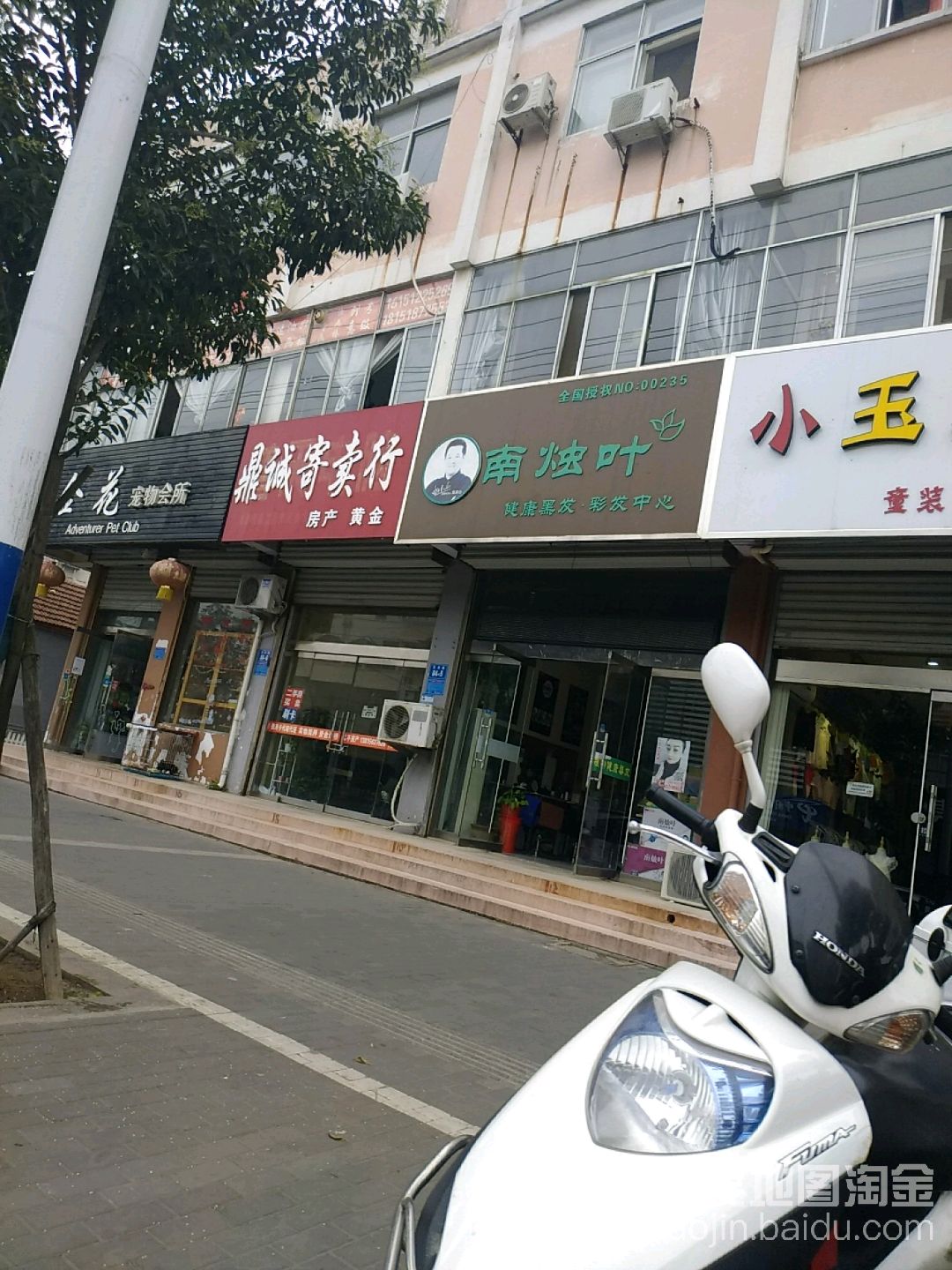 南竹叶