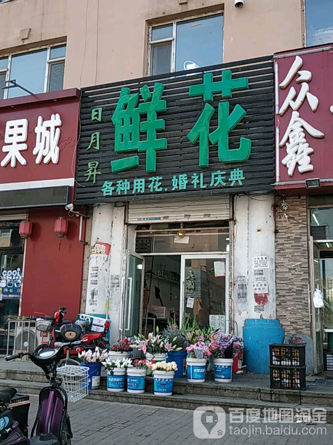 日月升鲜花