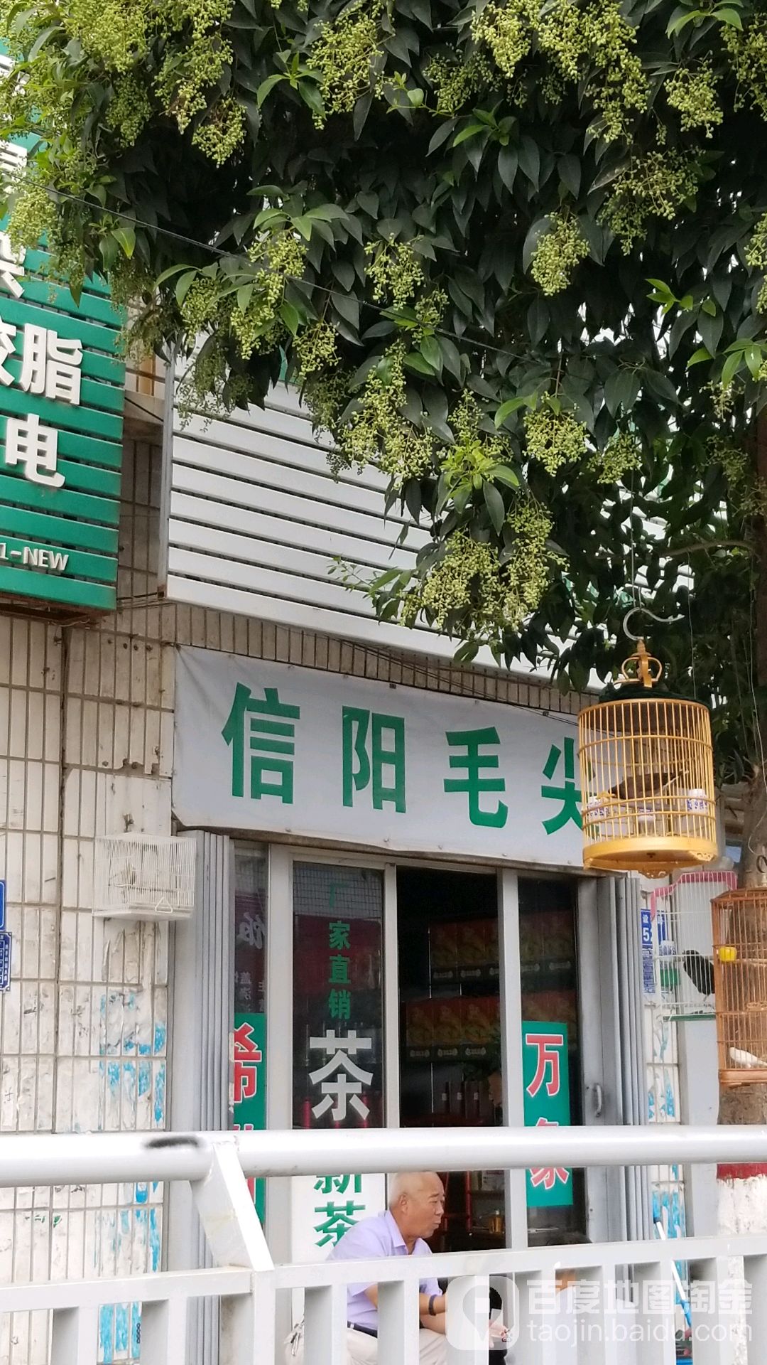 太康县信阳毛尖(建设南路店)