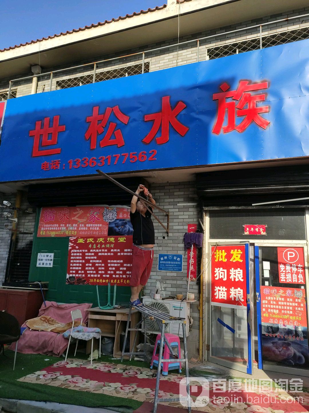 世松水族