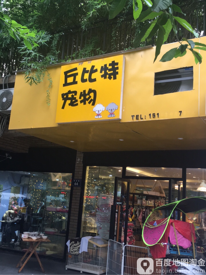 丘比特宠物(宠小格品牌合作店)