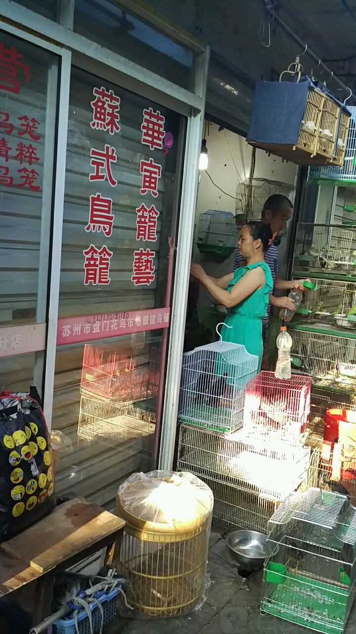 苏州市盘门花鸟市场眼镜鸟铺