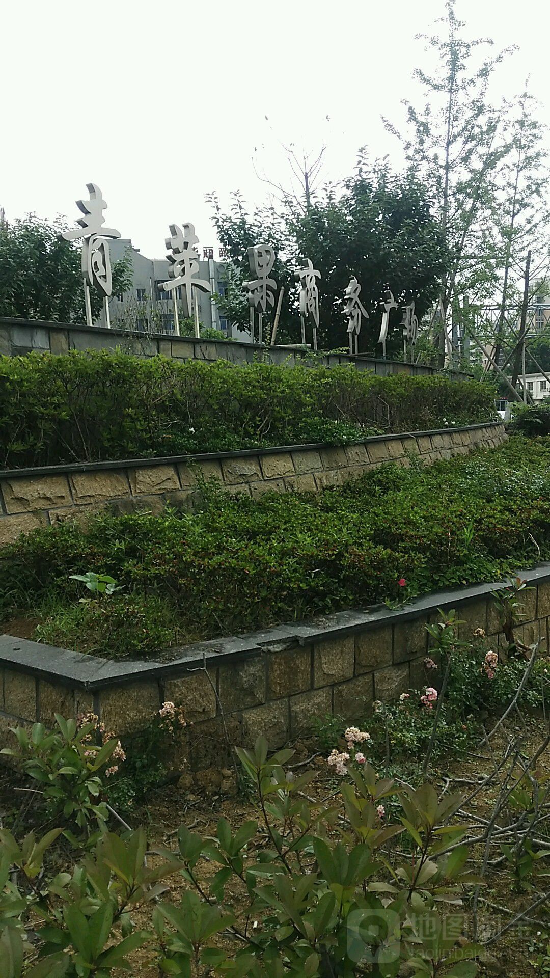 青苹果商务广场