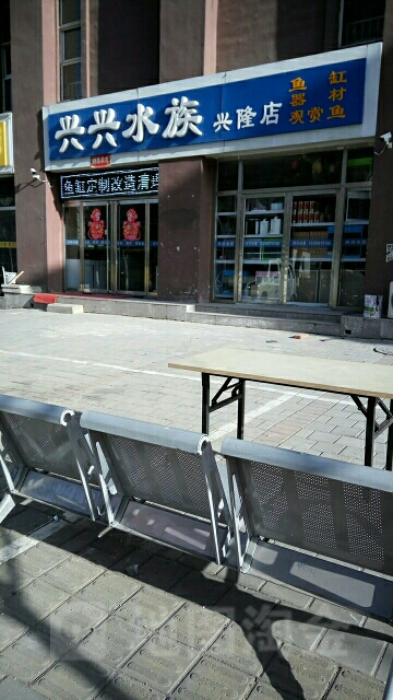 新兴水族(兴隆店)