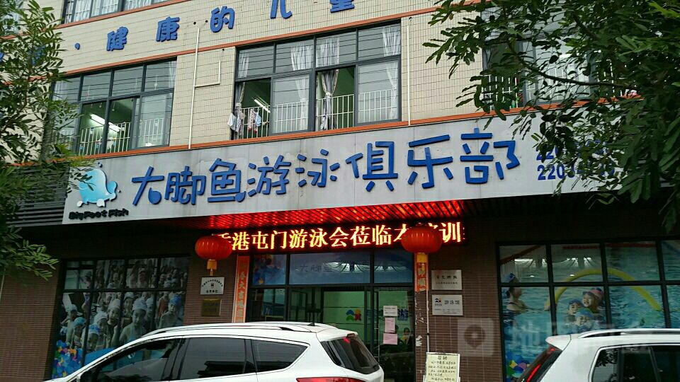 大脚鱼游泳马俱部