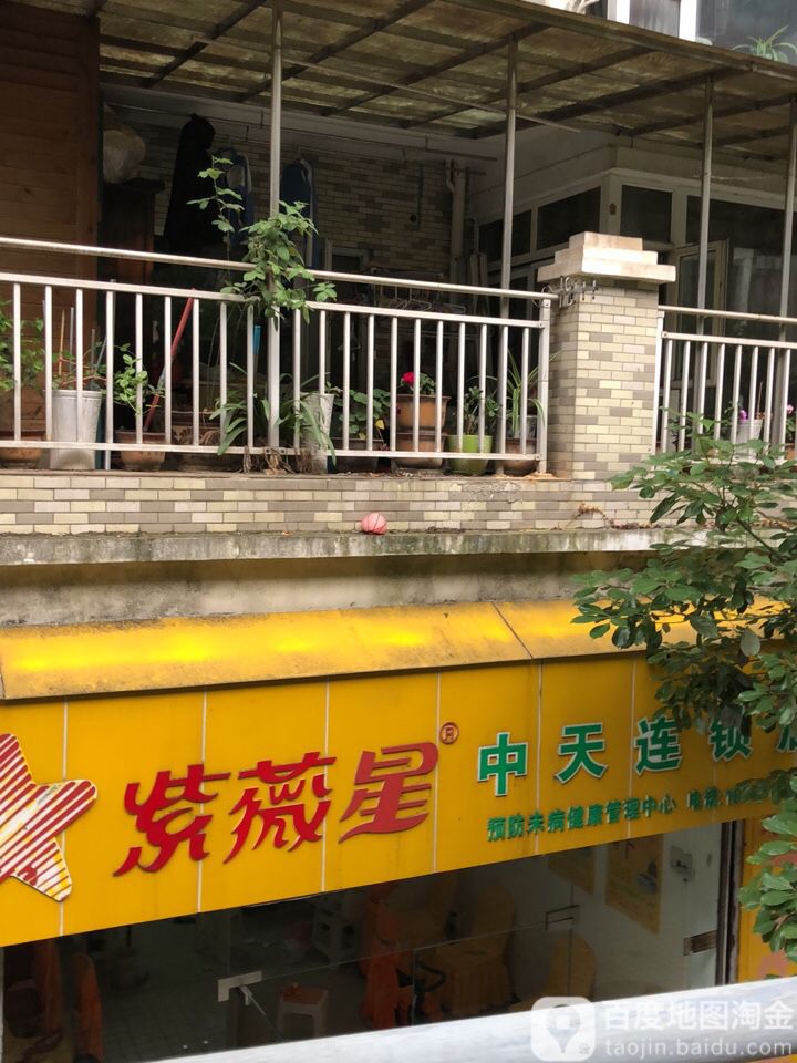 紫薇星(新添大道南段店)