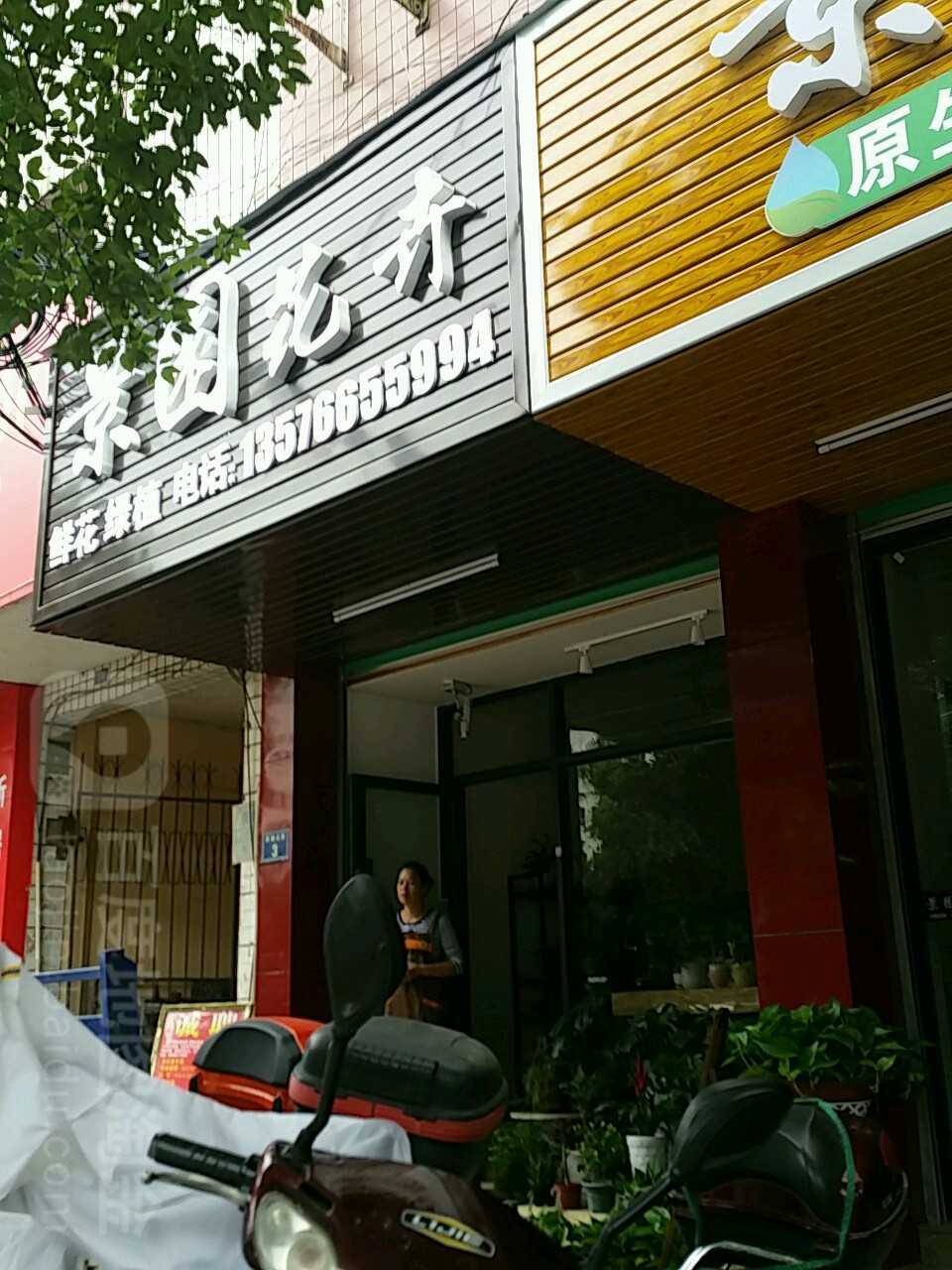 景园花卉