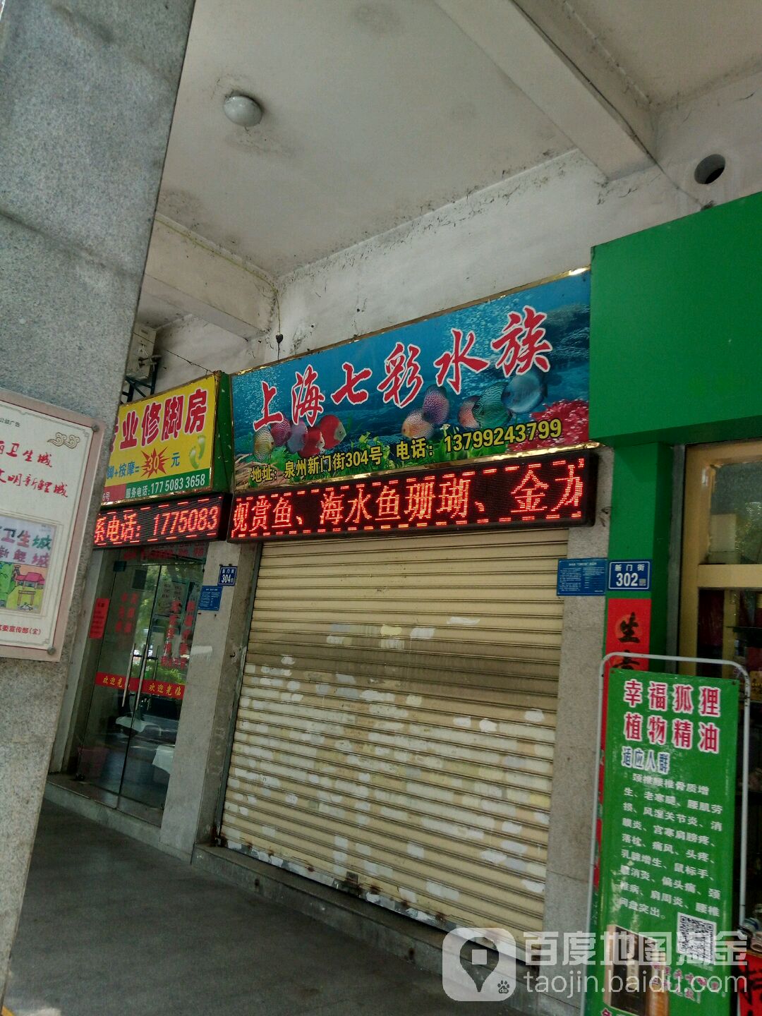 上海汽车水族