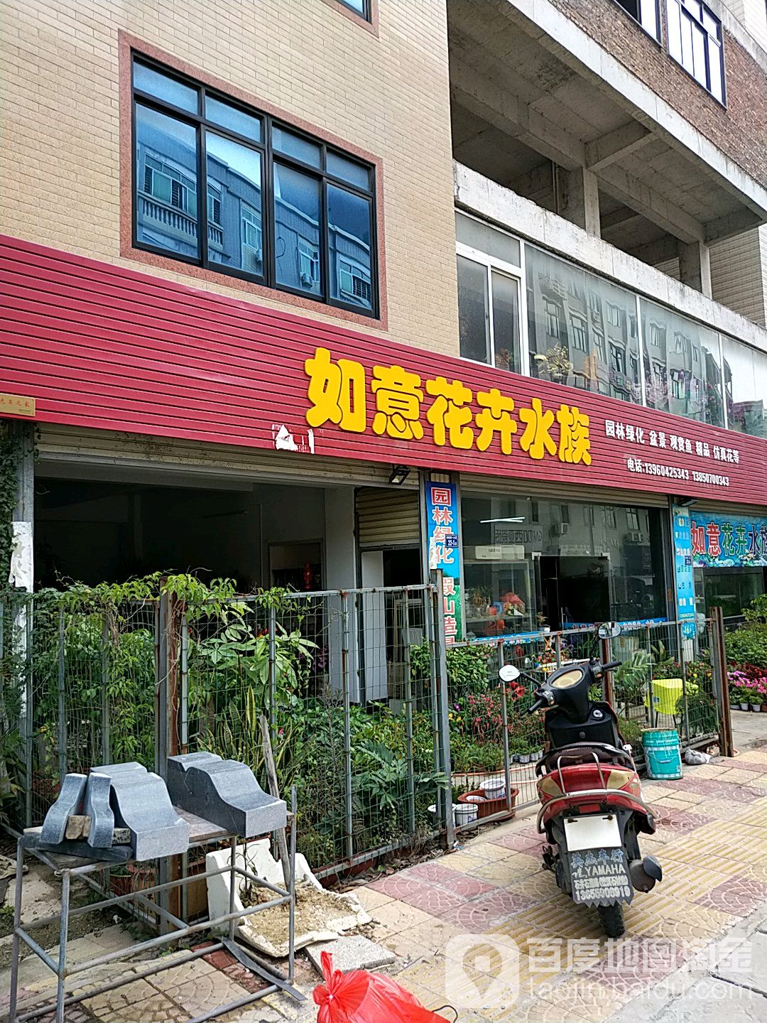 如意花卉水足