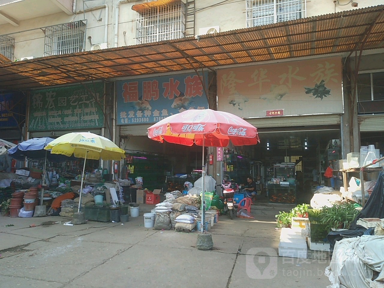 福鹏水族