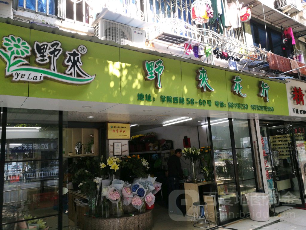 野来花行
