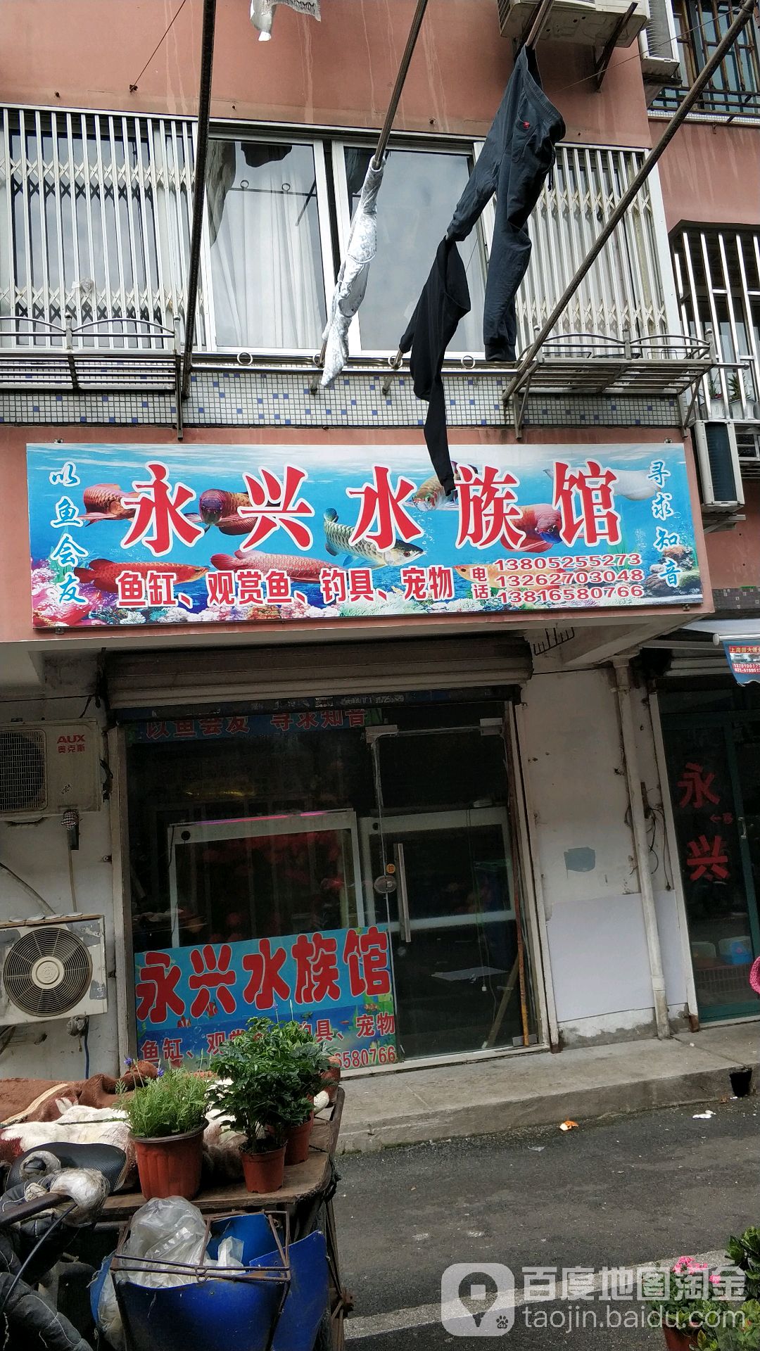 永兴水族馆