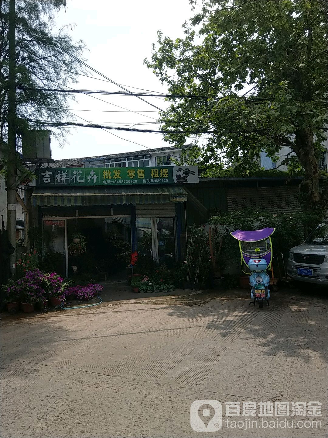 吉祥花卉
