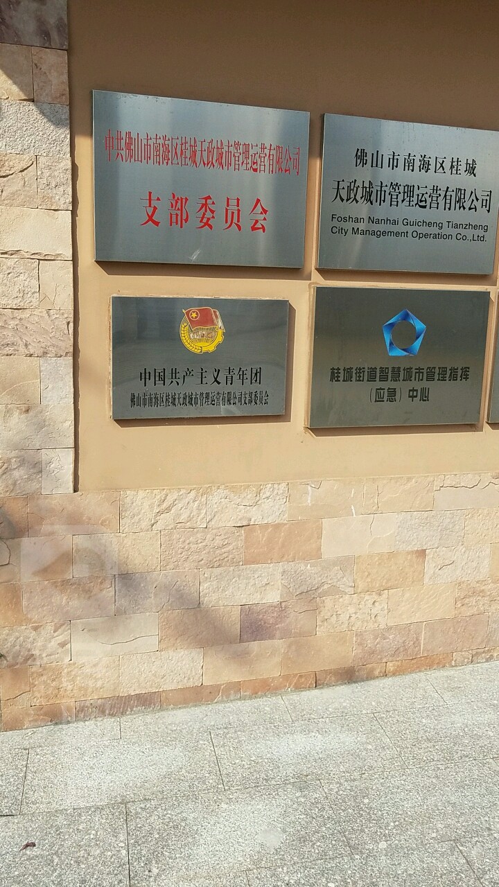 共产主义青年团佛山市南海区桂城天政城市管理运营有限公司支部委员会