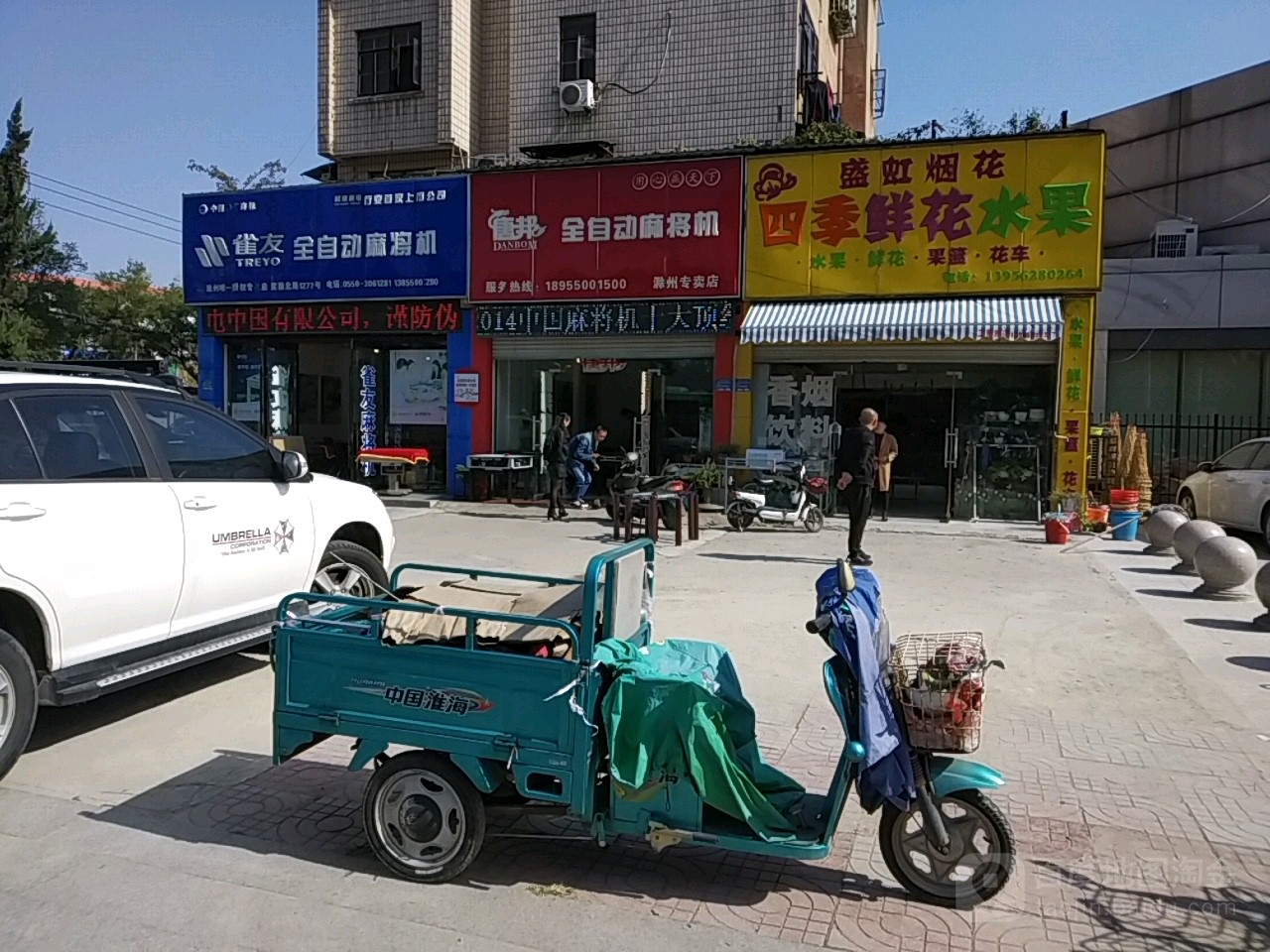 四季鲜花水果
