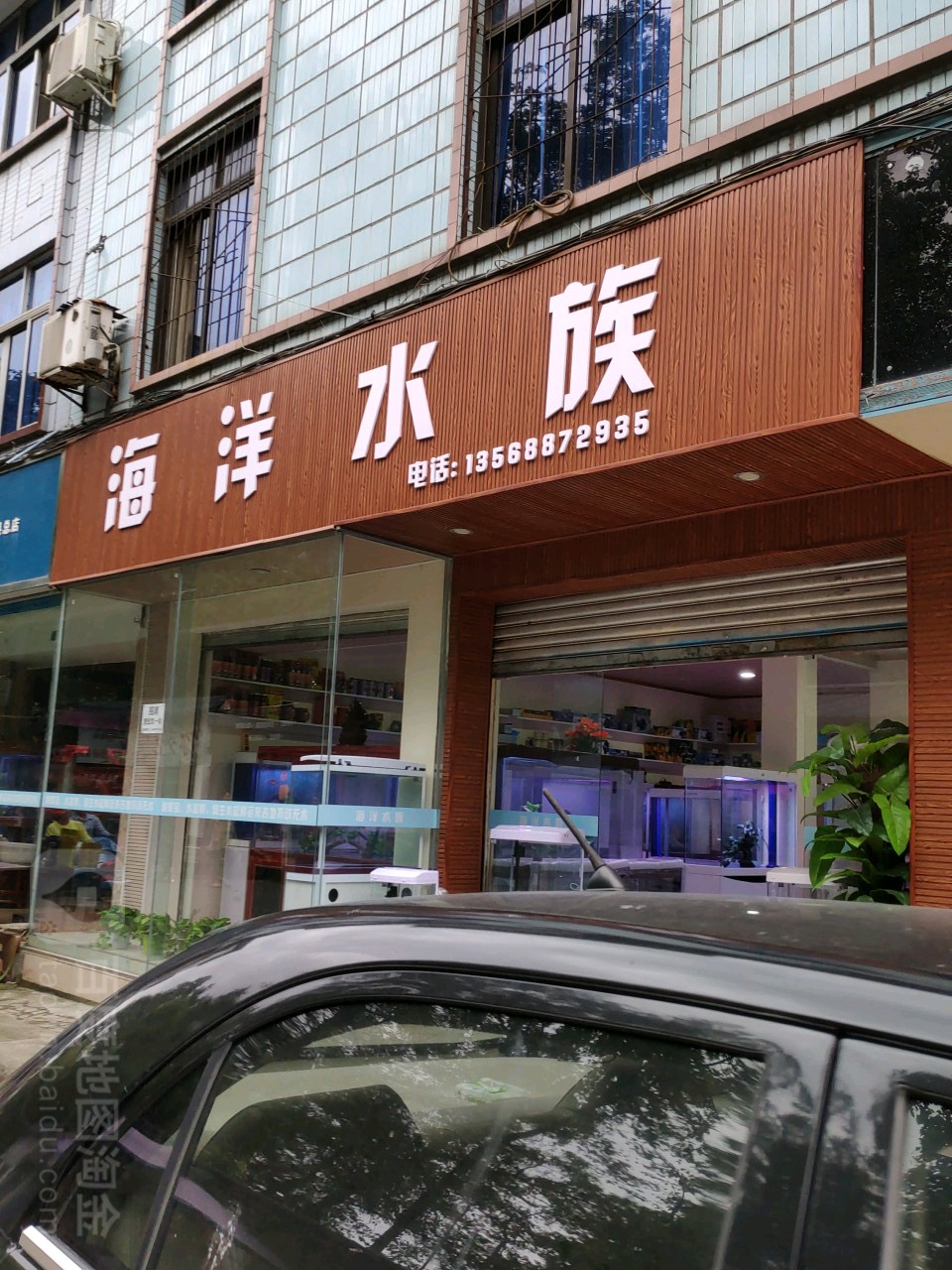 海洋水族(郫县总店)