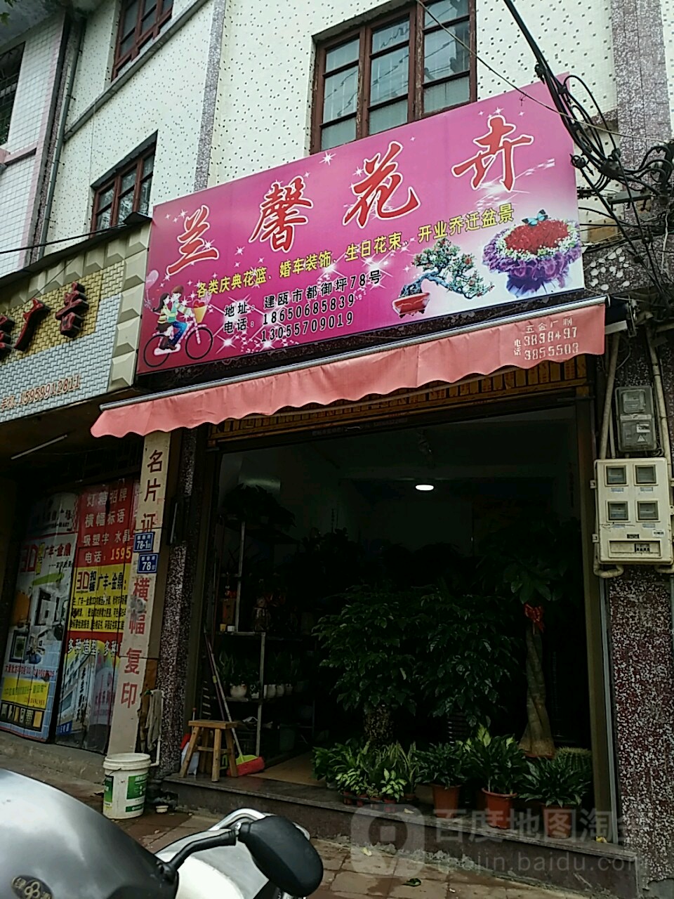 兰馨花卉