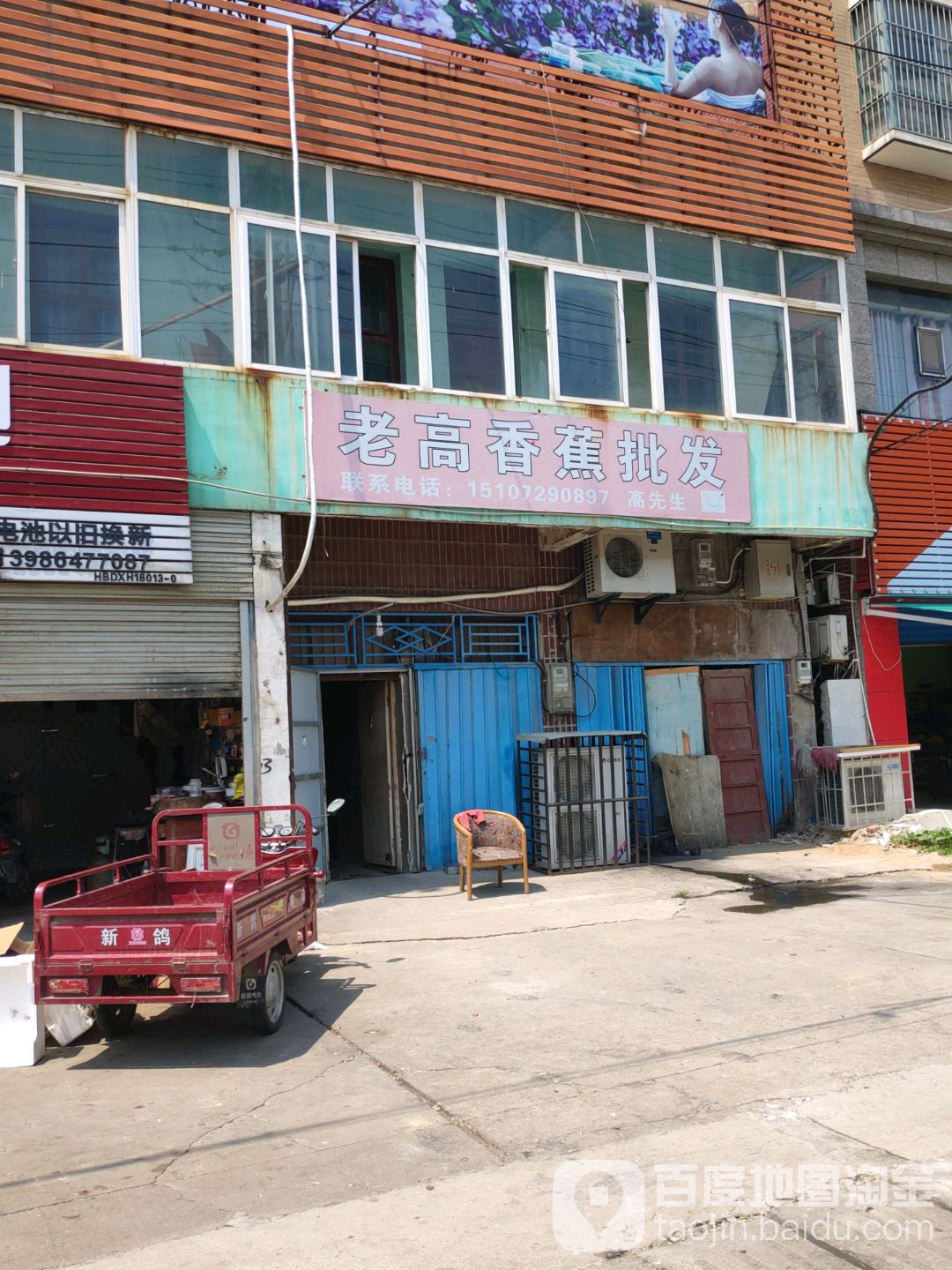 老高香蕉批发