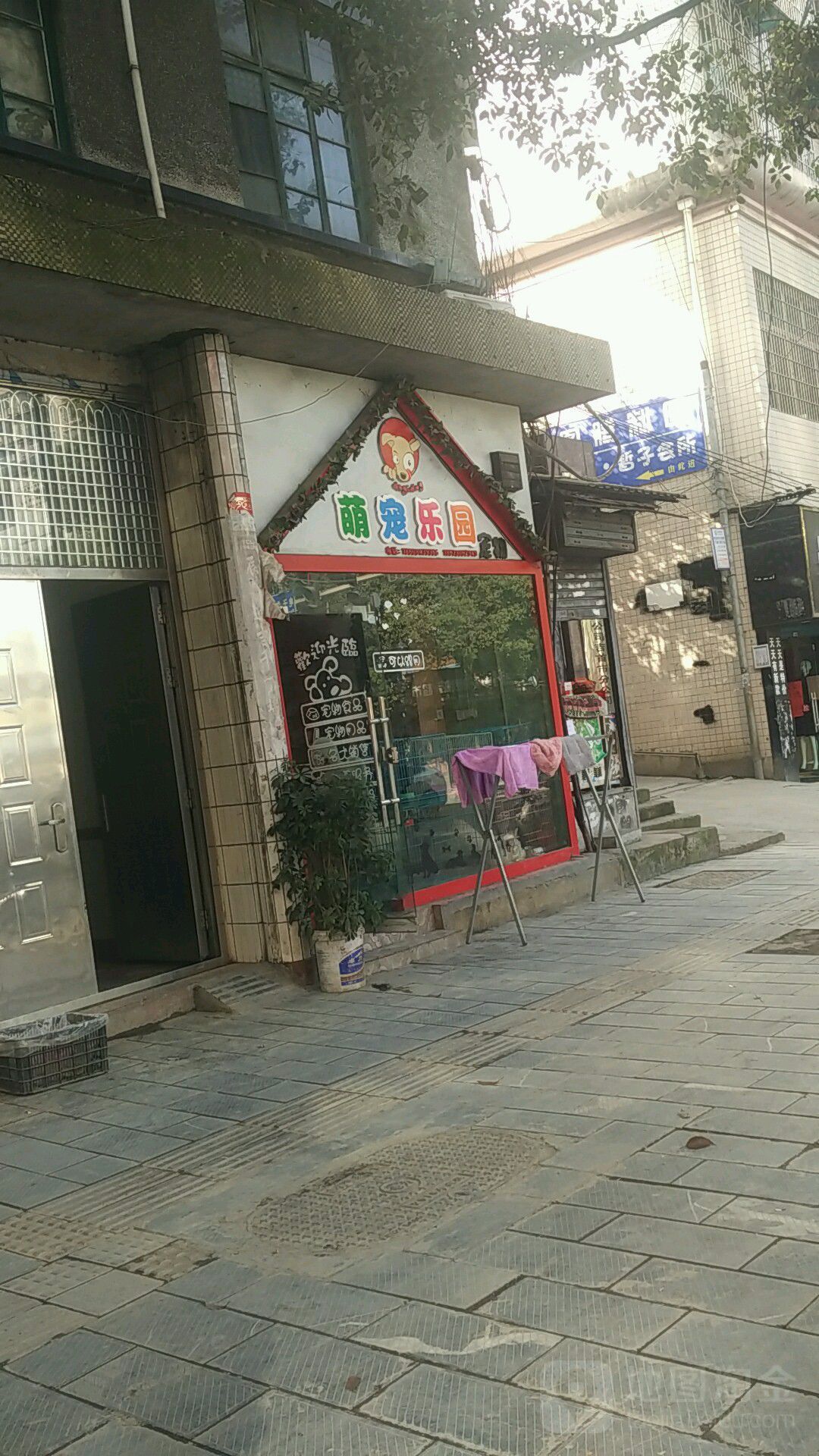 哆来咪宠物萌宠乐园(人民北路店)