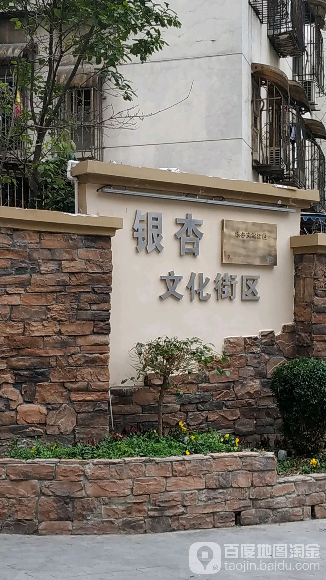 跳伞塔银杏文化街区