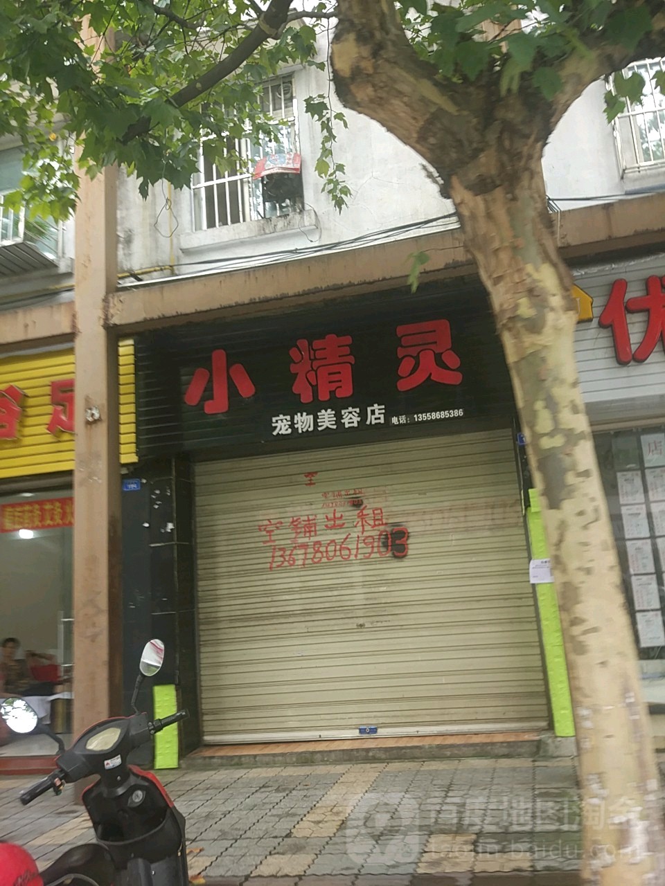 小精灵宠物美容馆
