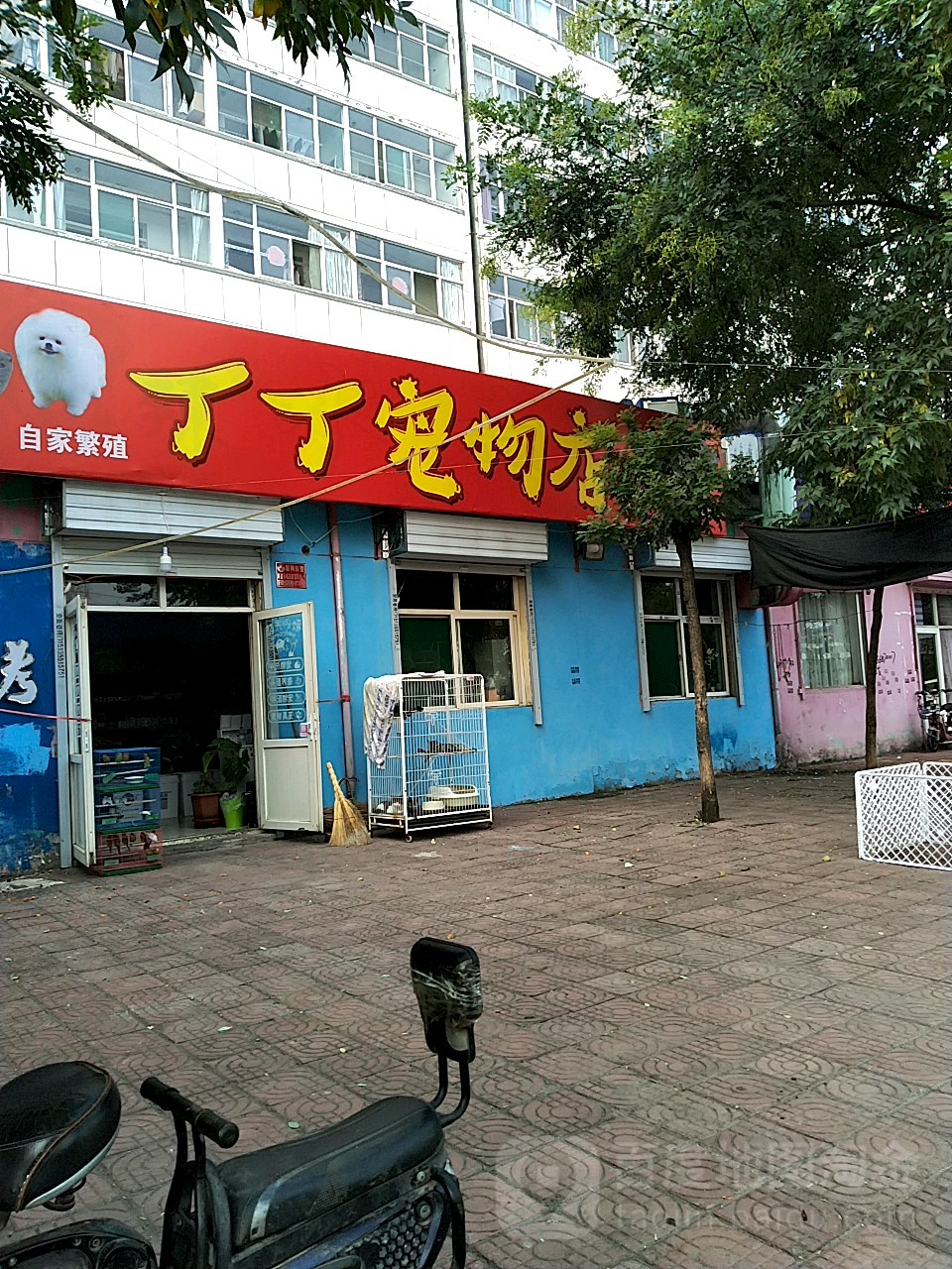 丁丁宠物店