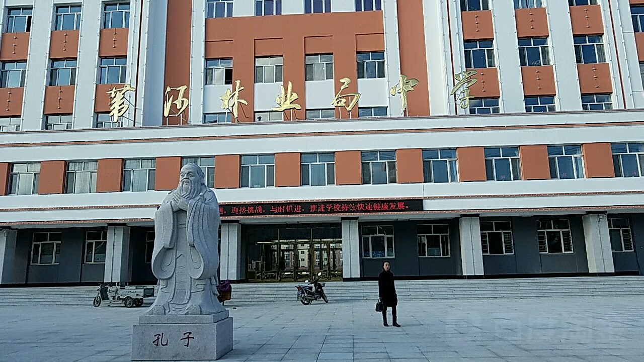 哈尔滨南岗高中图片