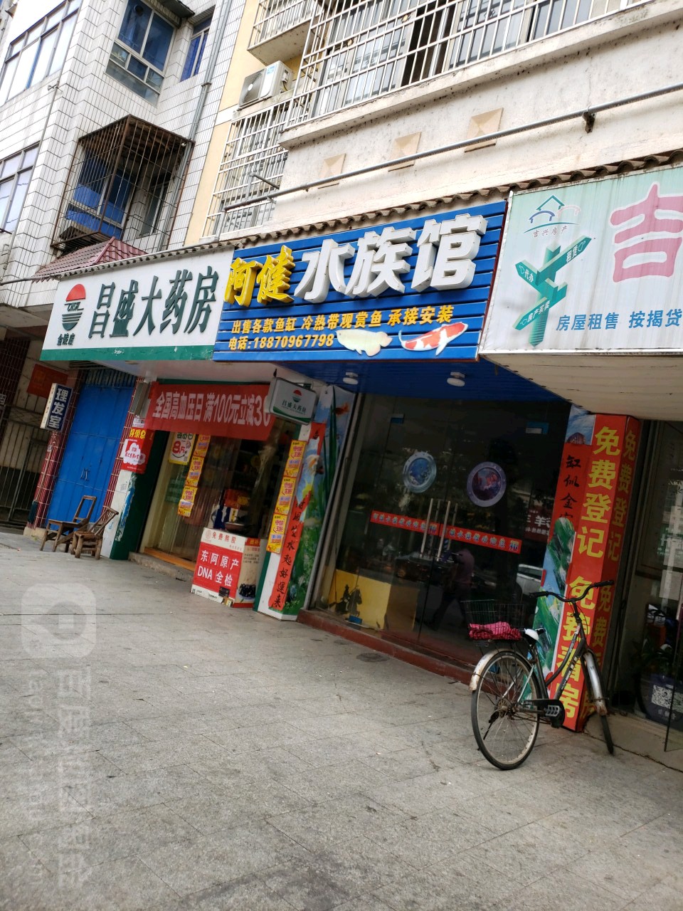 阿健水族馆