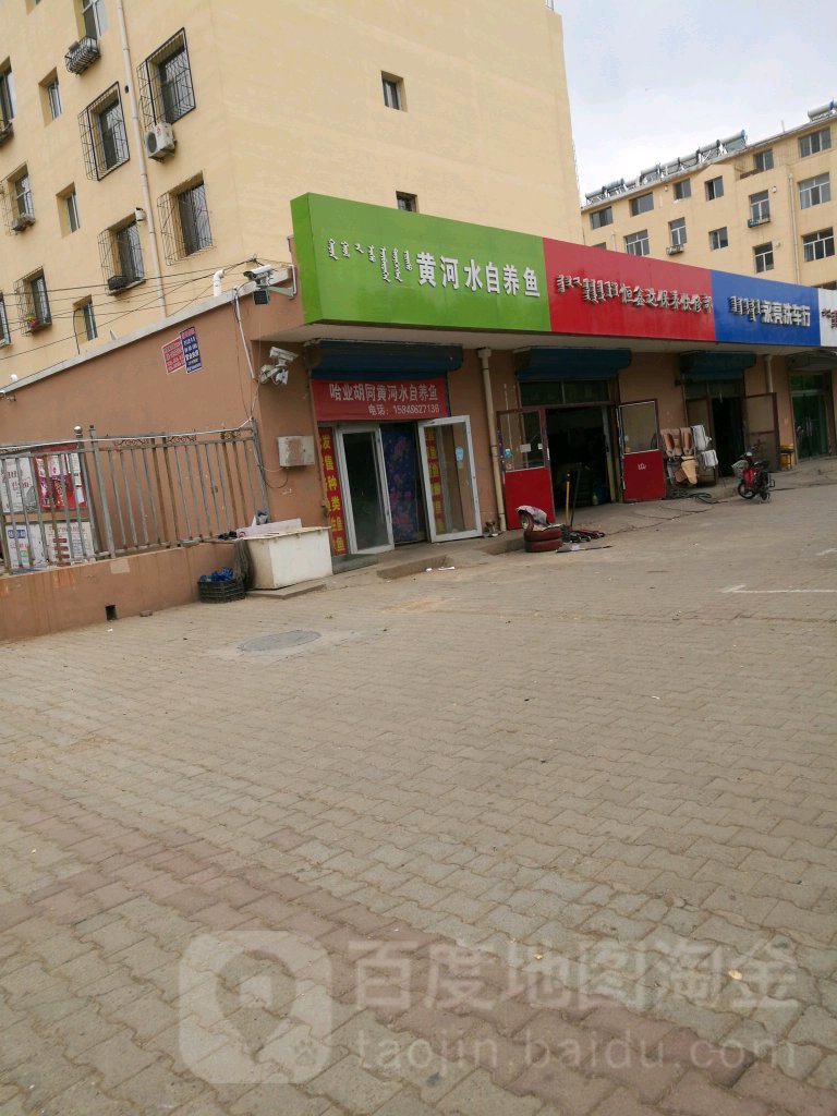 唐河水自养鱼