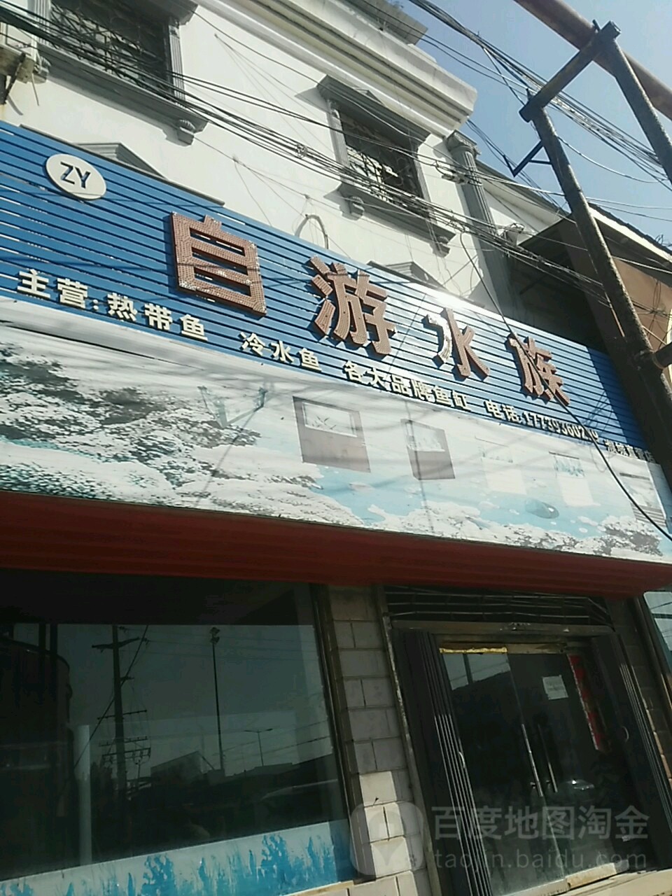 自游水族