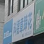 科德章蹄花(车子店)