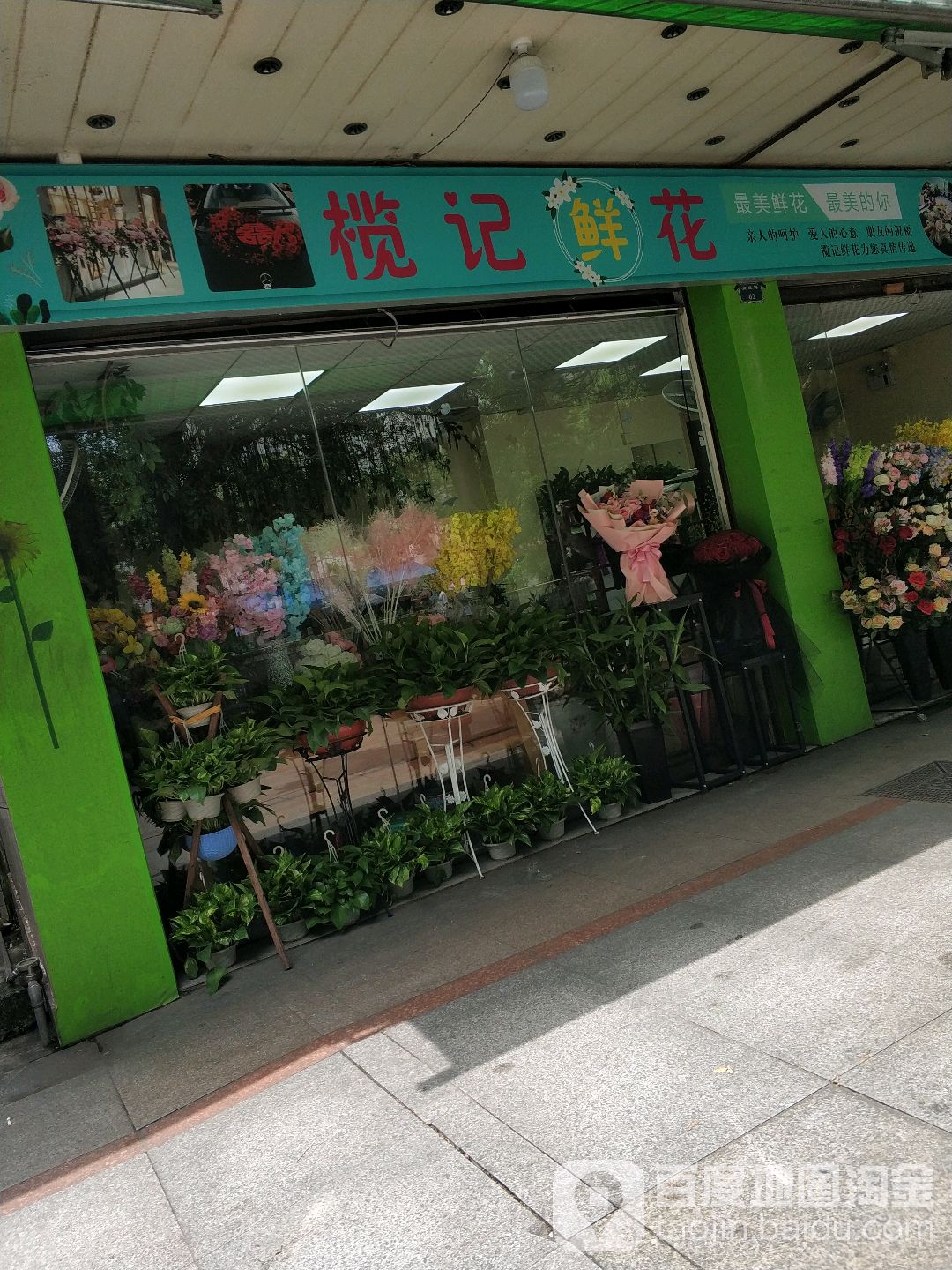 榄记日日鲜花