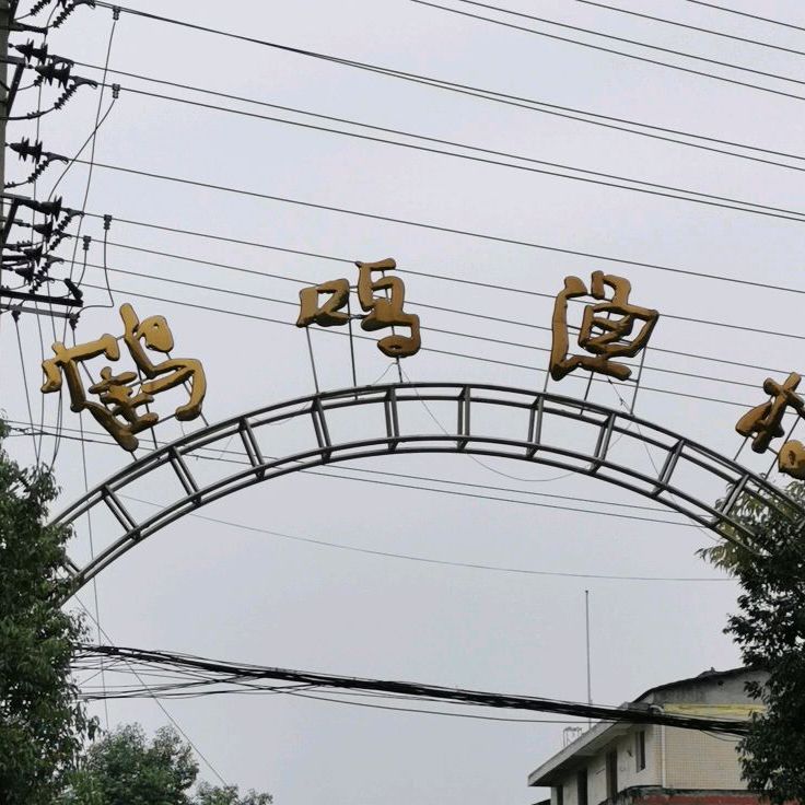 鹤鸣院村地名网_四川省南充市西充县双凤镇鹤鸣院村资料简介