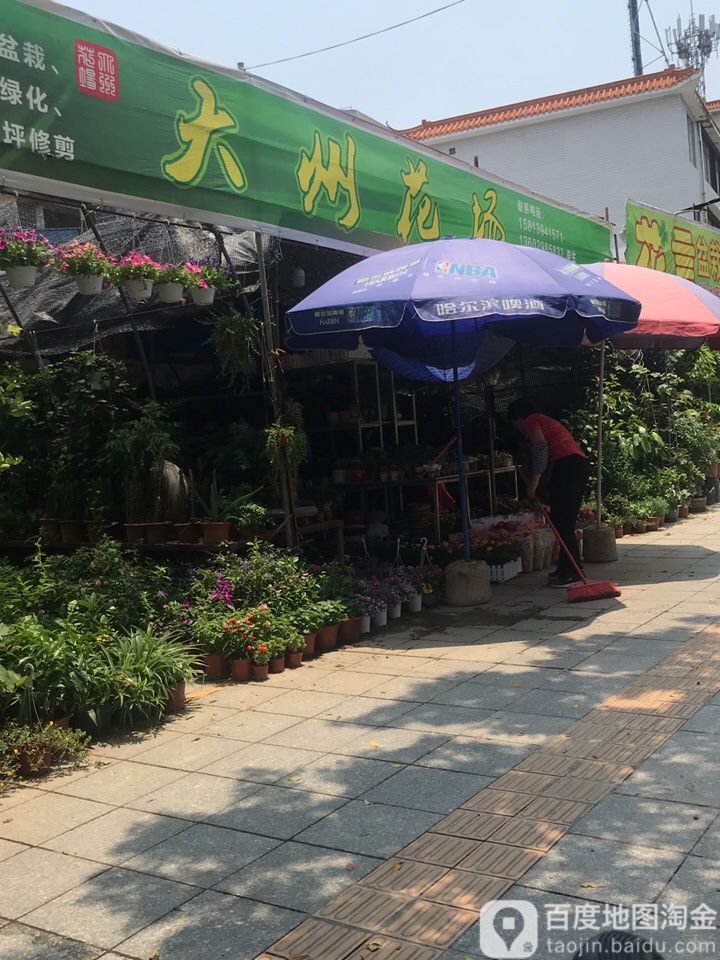 大州花场