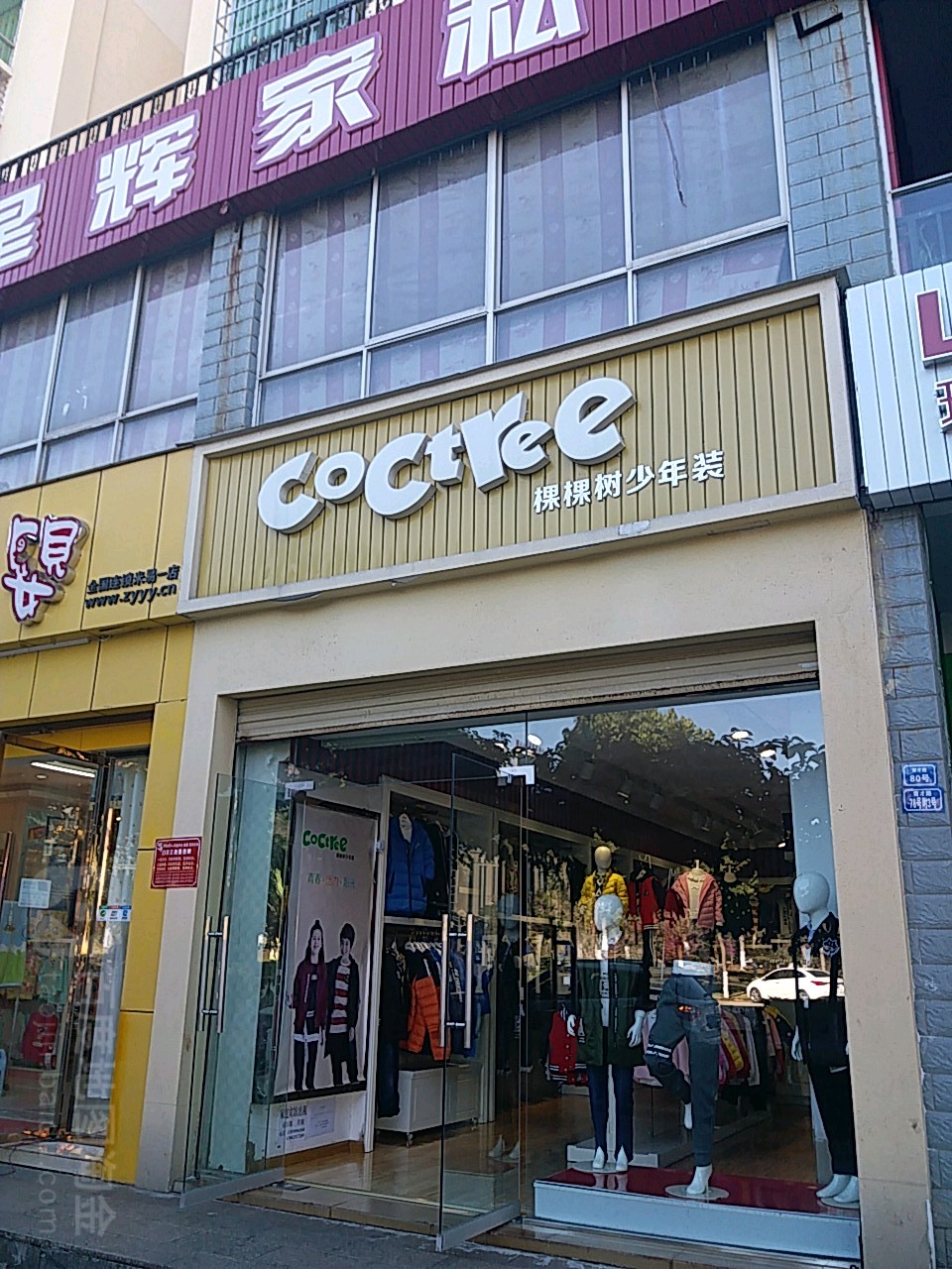 coctree棵棵树少年装(育才北店)