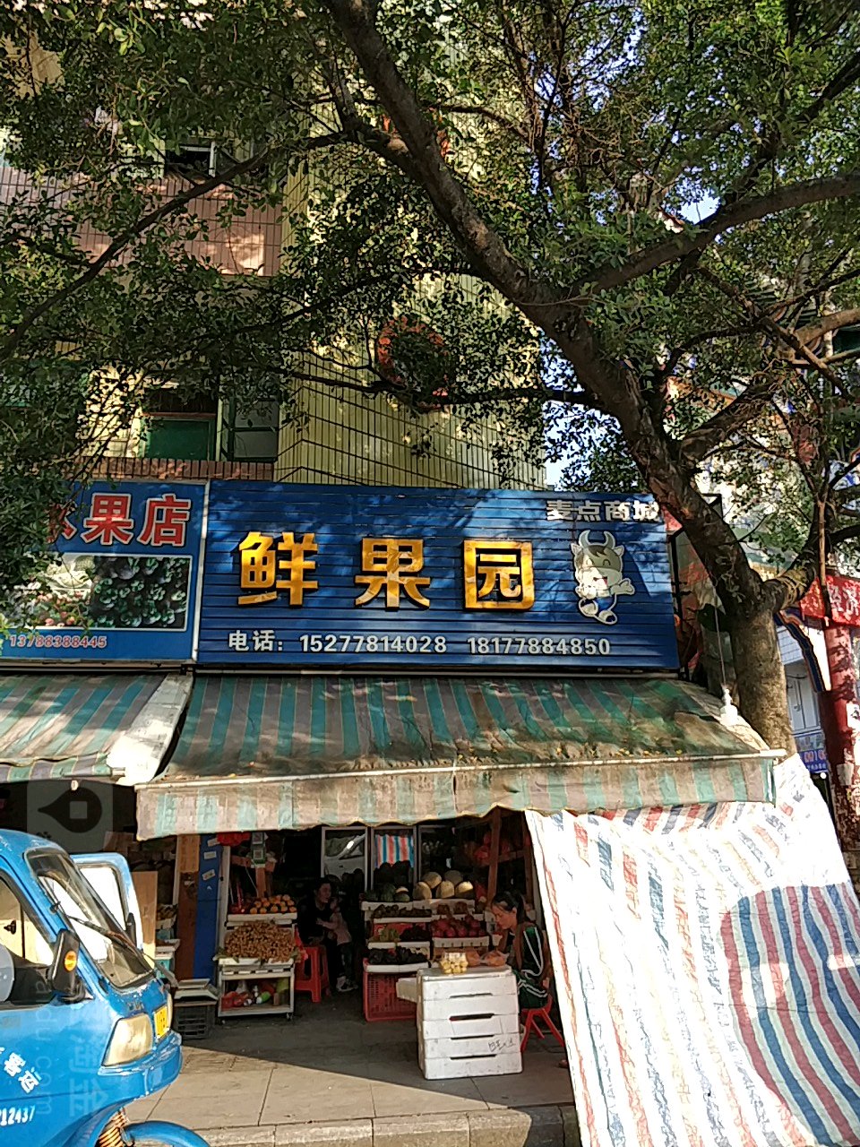 鲜果园(立新巷店)