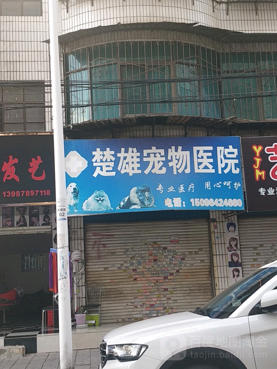 楚雄宠物店医院