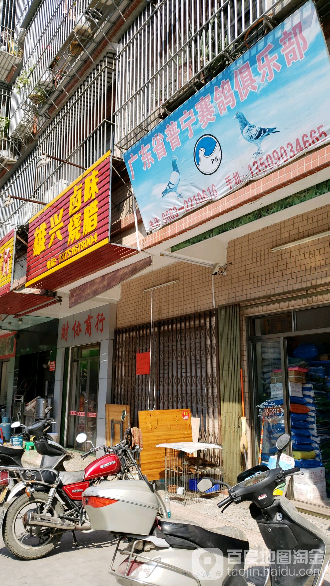 广东省普宁赛鸽俱乐部