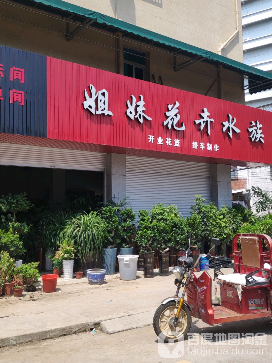 姐妹花卉水族