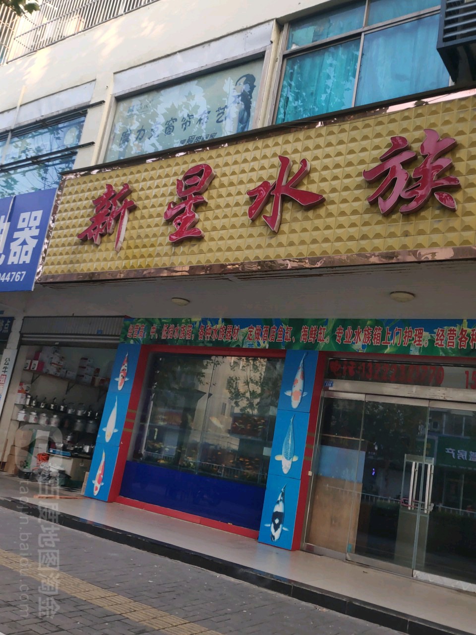 新星水族(望海西路店)